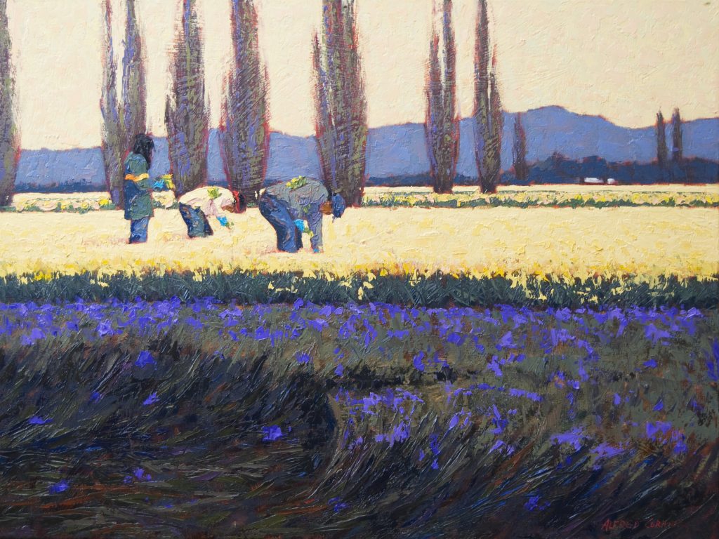 Alfred Currier, Bed of Iris, 2018, oil on canvas, 30”h x 40”w, Collection of Cynthia Sears, Promised Gift to BIMA