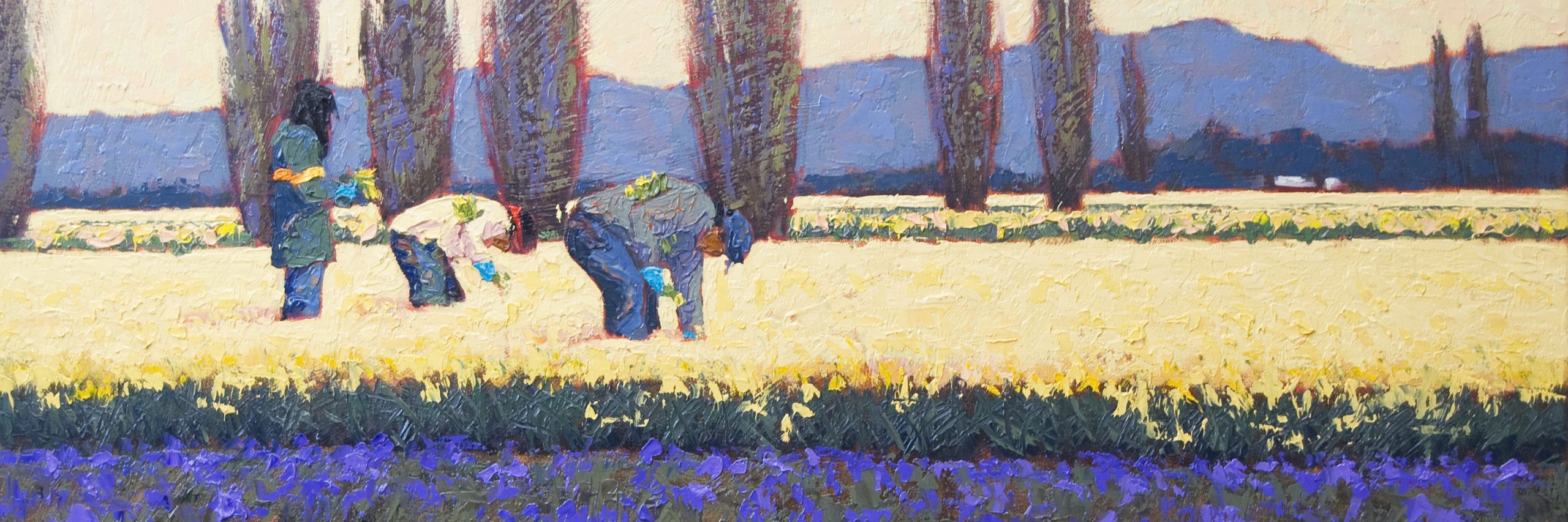 Alfred Currier, Bed of Iris, 2018, oil on canvas, 30”h x 40”w, Collection of Cynthia Sears, Promised Gift to BIMA
