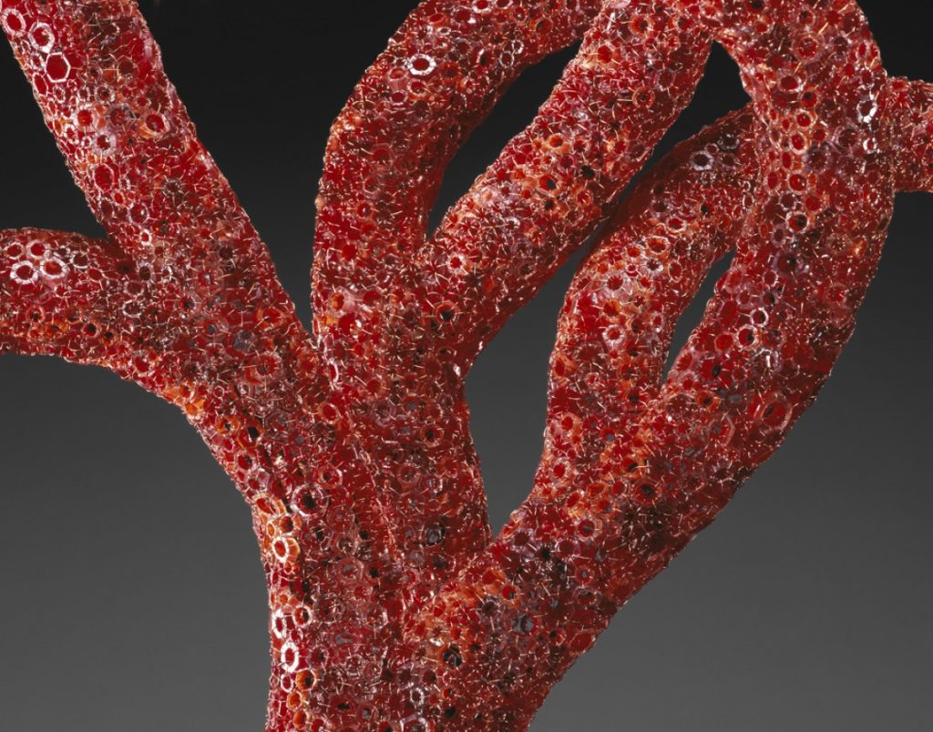 Kait Rhoads, Red Polyp (detail)