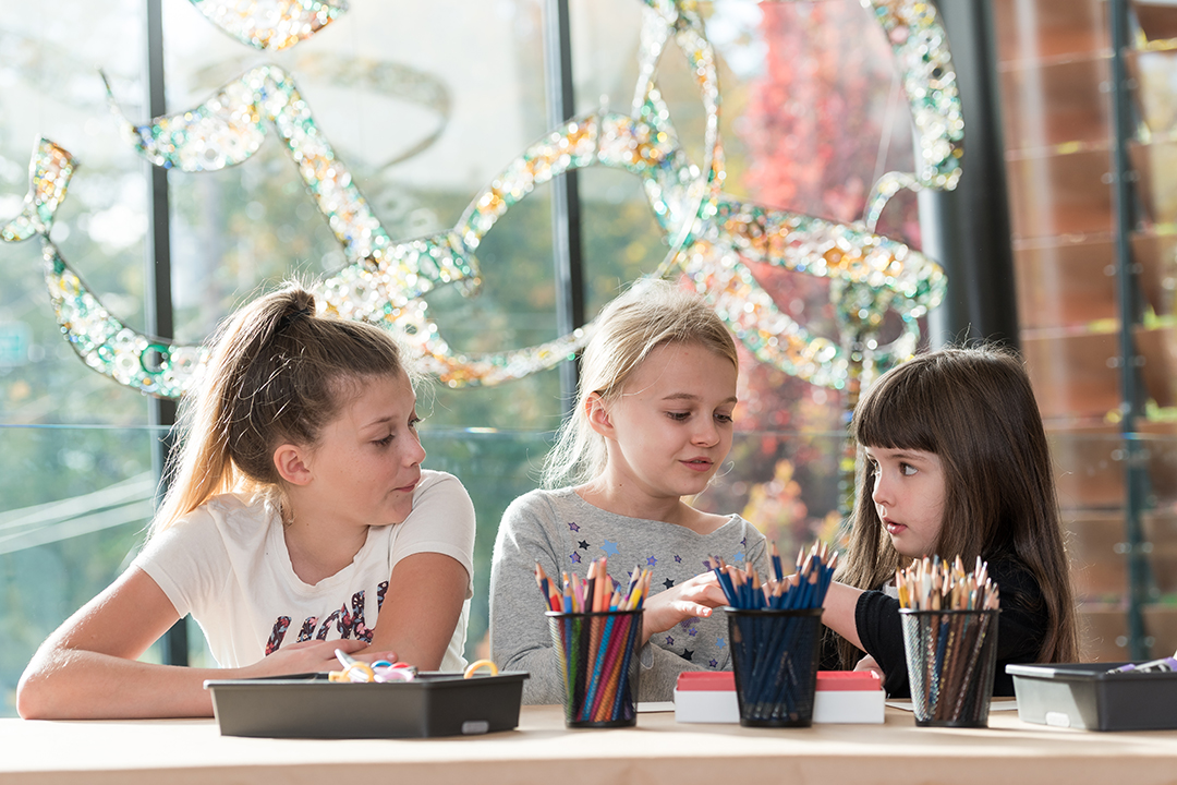 Summer Camp Registration is Open