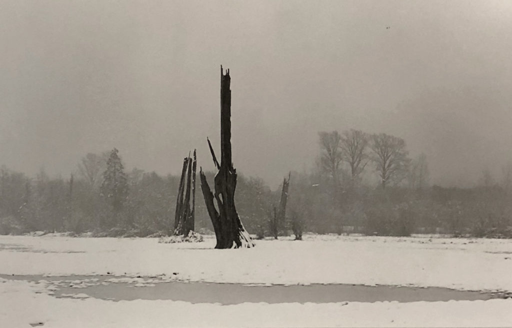 Mary Randlett, November 2006, silver gelatin photo, 13"h x 14.75"w (framed)