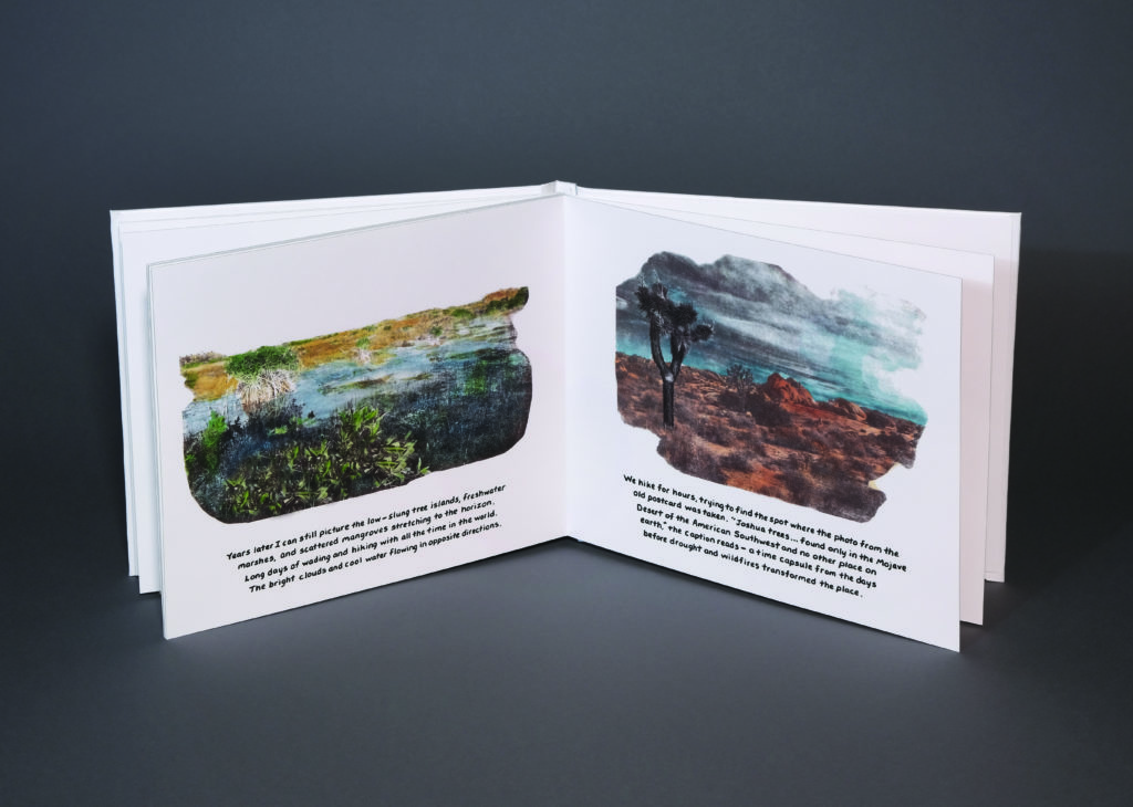 Rachel Simmons and Lee Lines (Orlando, FL) Visible Climate, 2020, digital print, perfect bound with illustrated cover, 9”h x 10”w x 1”d, open edition