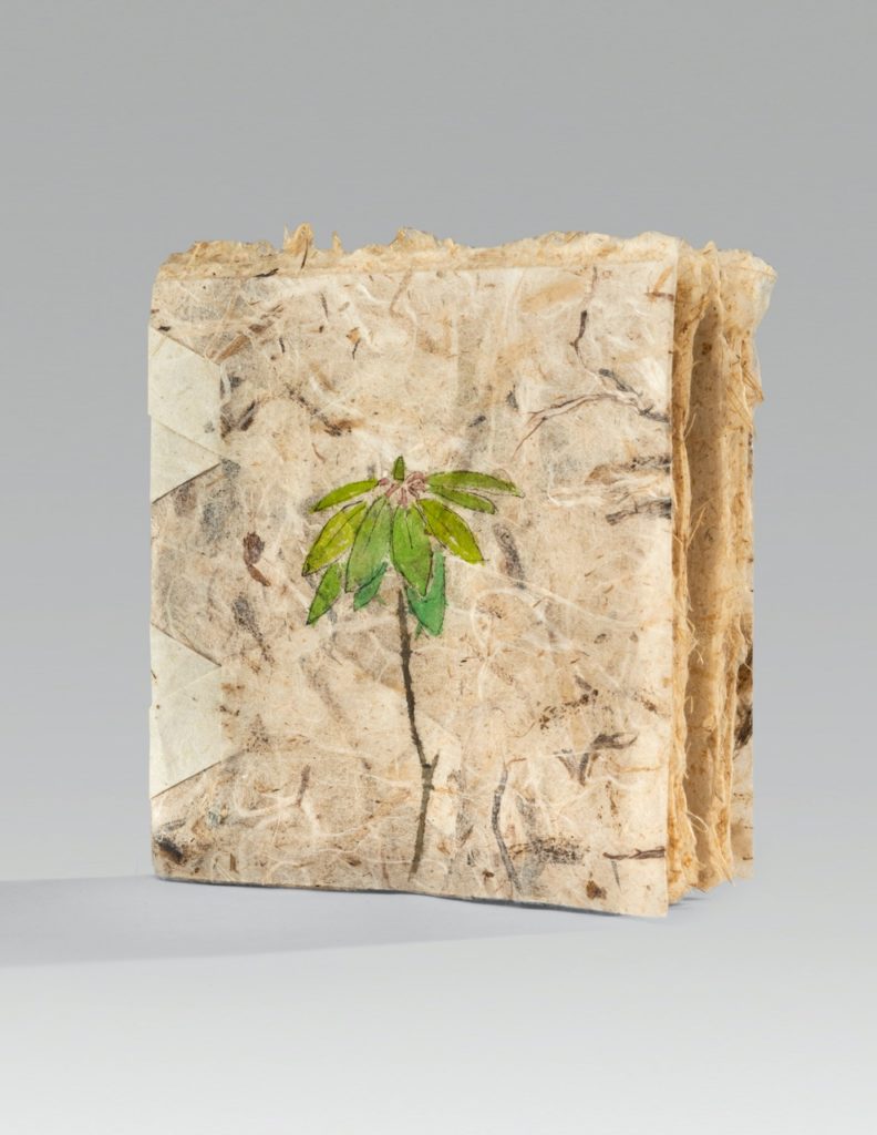 Aimee Lee (Cleveland, OH), One rhododendron bush in May 2020, pen, gouache, and acrylic on handmade paper, 5"h x 4.75"w x 0.5”d (closed), ten leaves; unique, Cynthia Sears Artist's Book Collection