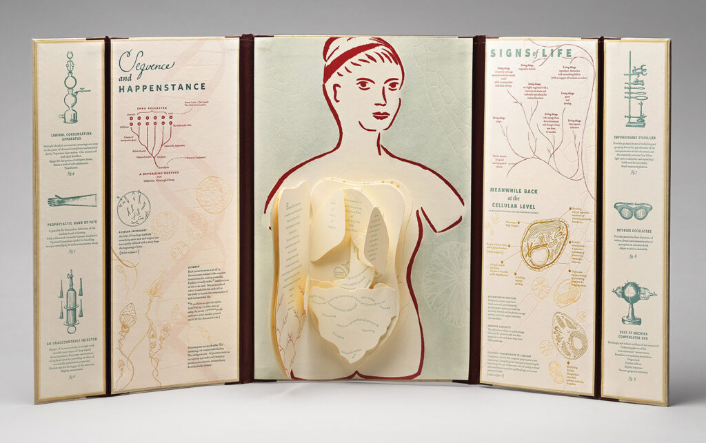 Casey Gardner (Berkeley, CA), Body of Inquiry, 2011, handbound triptych with interior codex, letterpress, 15.5”h x 10”w x .75”d (closed), 30”w (open), edition #2 of 57, Cynthia Sears Artist's Books Collection, photo by Hunter Stroud