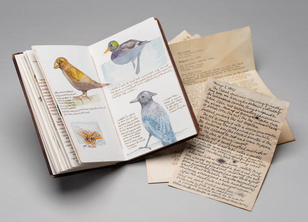 Artists' Book Collection – Bainbridge Island Museum of Art