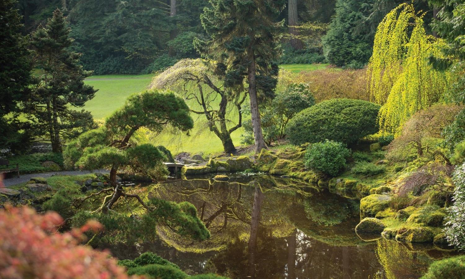 Japanese Garden Bloedel Reserve