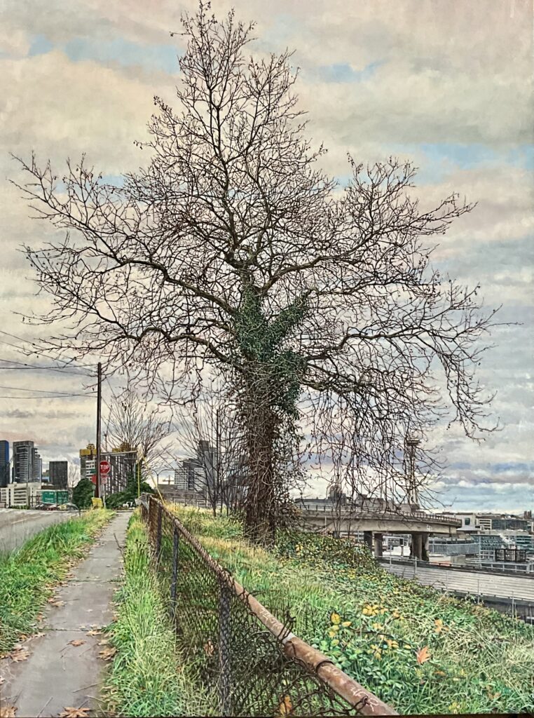 A leafless tree with ivy-covered trunk stands beside a sidewalk and chain-link fence, overlooking downtown Seattle and the Space Needle in the distance.