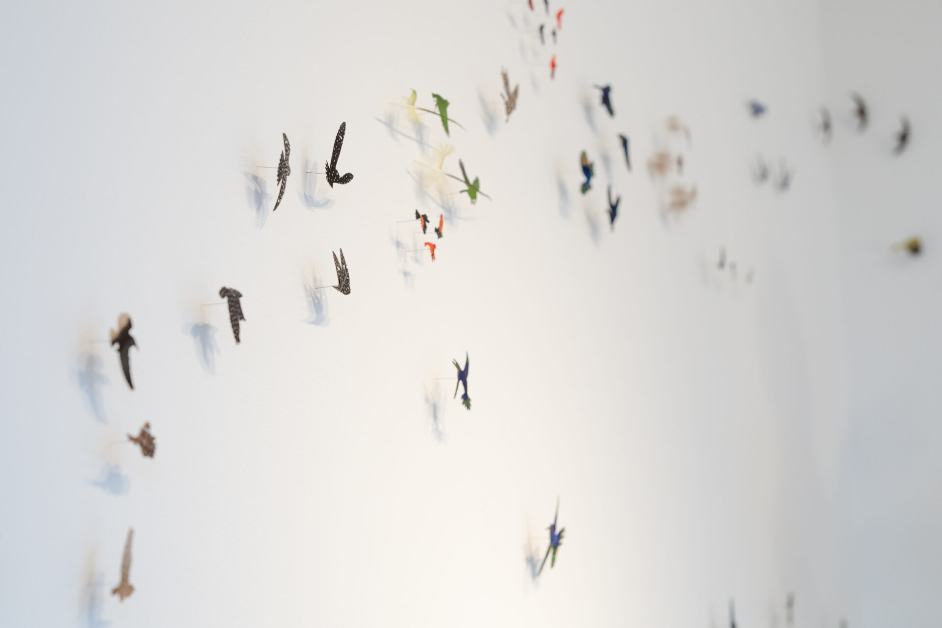 A white wall with small birds made of colorful feathers