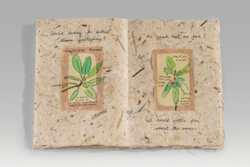 Tan open pages of a book with green and brown drawings of plants surrounded by handwritten notes.