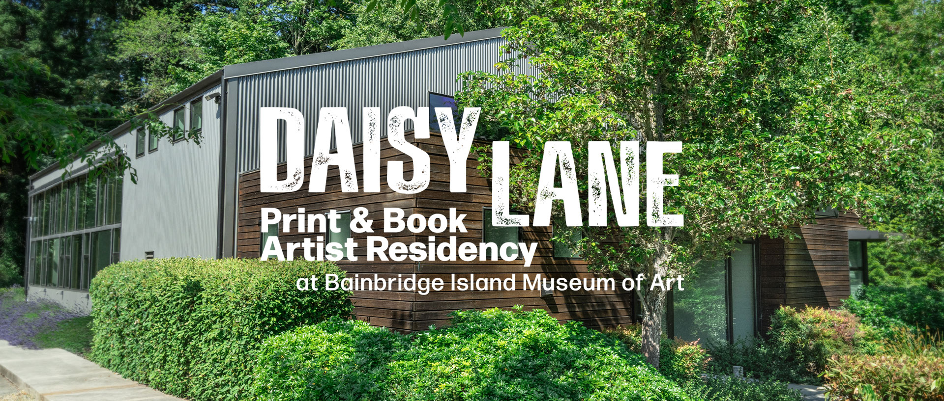 Daisy Lane